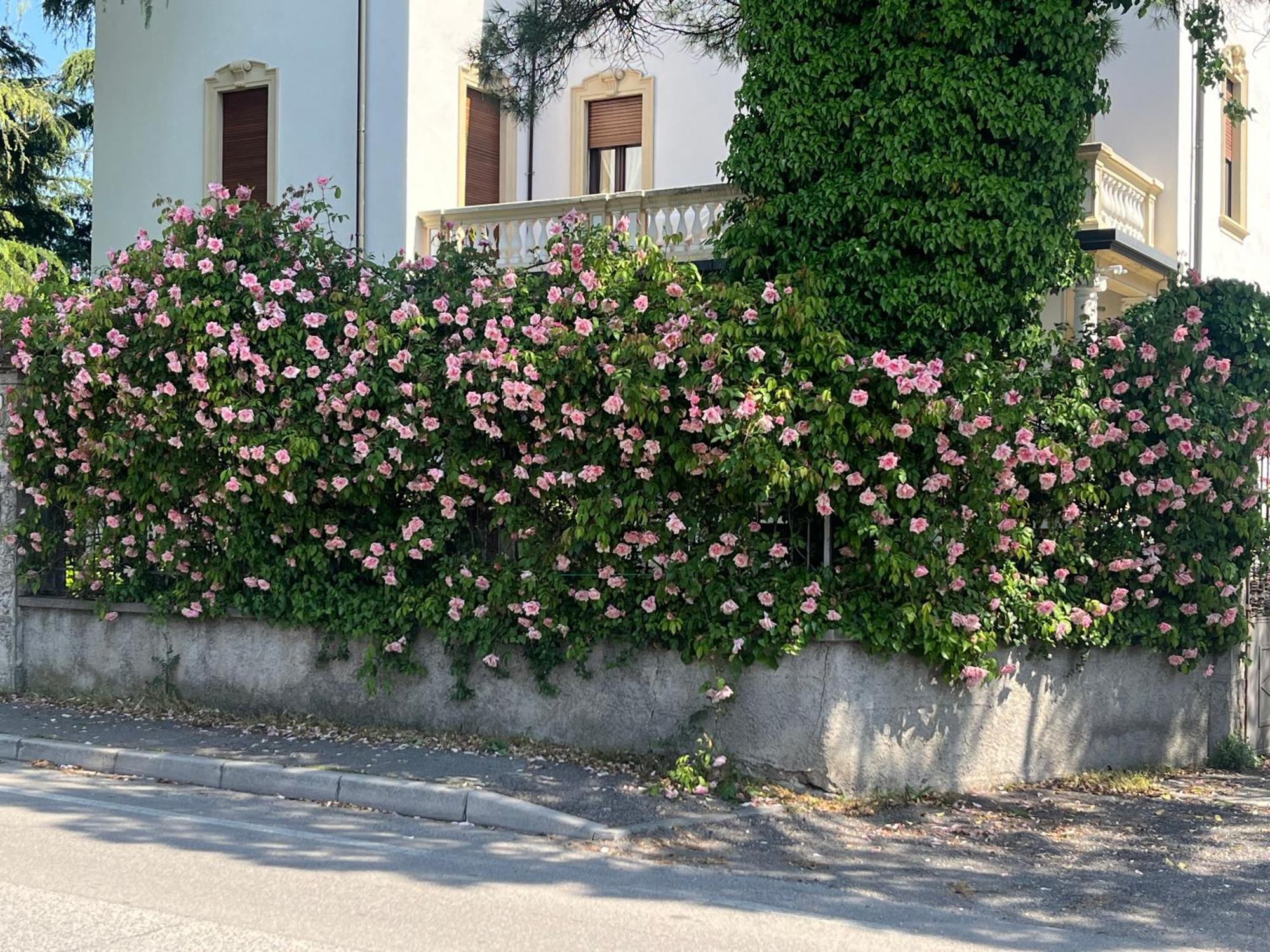 Il Bozzolo Eco Boutique Apartments Valeggio sul Mincio Buitenkant foto
